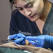 Electrolysis