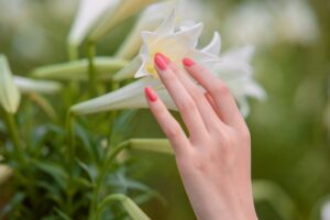 flowers, flower background, hand