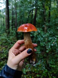 A Person Holding a Mushroom | Nail Fungus