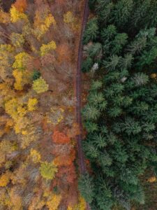 Aerial view of Ilmenau's colorful autumn foliage and dense green forest separated by a railway line.
