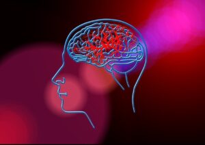 stroke, brain, blood circulation, anatomy, head, science, background, art, error, blood circulation disorder, neurons, stroke, stroke, stroke, stroke, stroke, blood circulation