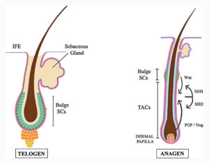976a8112 b1fc 4fd1 b171 5eb10bdc6ea7